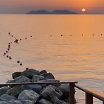 Doll House *